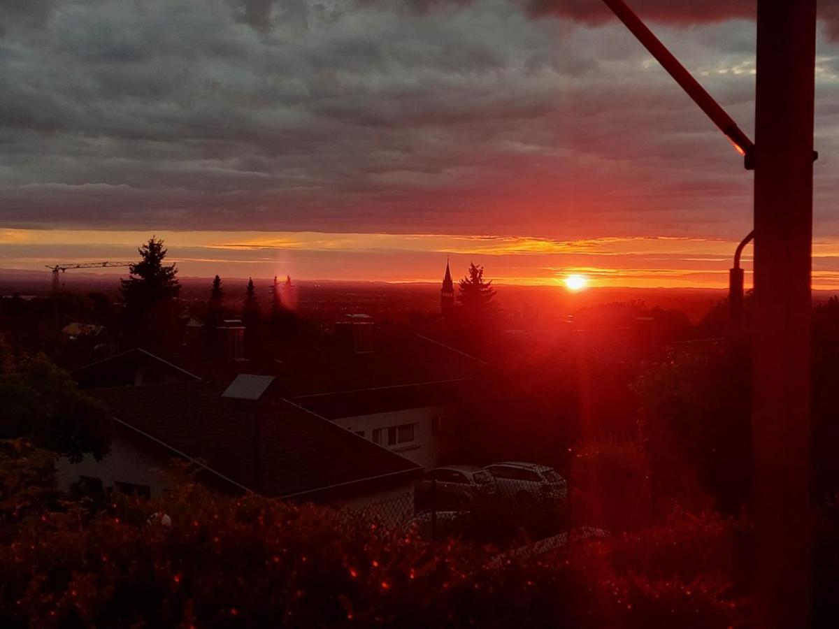 Apartement Koenig Lauf Zewnętrze zdjęcie